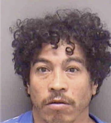 Jesus Garcia, - Lee County, FL 