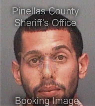 Ricky Martin, - Pinellas County, FL 