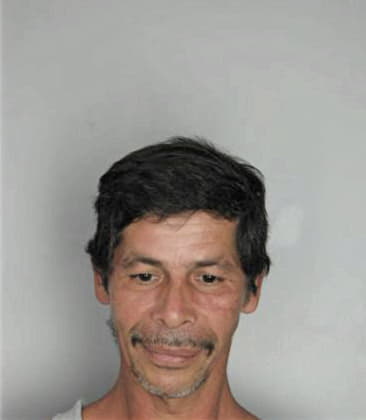 Elvin Mendozalebron - Hillsborough County, FL 