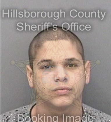 David Morales, - Hillsborough County, FL 