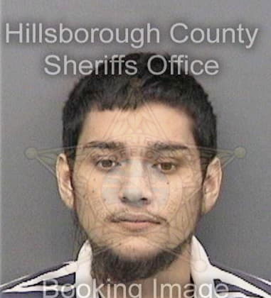 Landon Piersing, - Hillsborough County, FL 