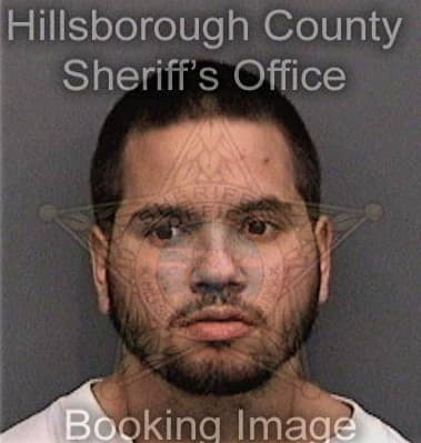 Edwin Reyesuribe, - Hillsborough County, FL 