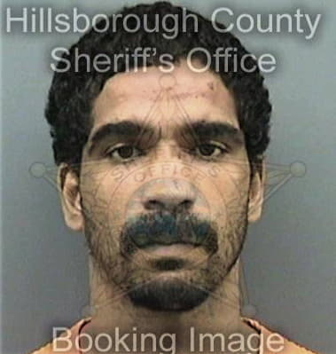 Nelson Santana, - Hillsborough County, FL 