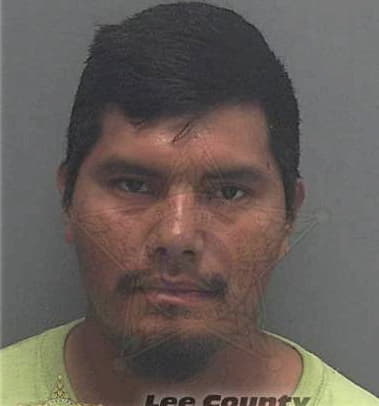 Daniel Santos-Martinez, - Lee County, FL 