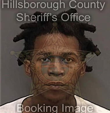 Amarion Scott, - Hillsborough County, FL 