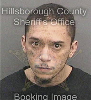 Jonathan Stevenson, - Hillsborough County, FL 