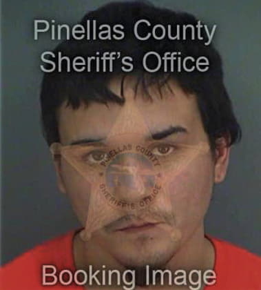 Alejandro Velascosantiago, - Pinellas County, FL 