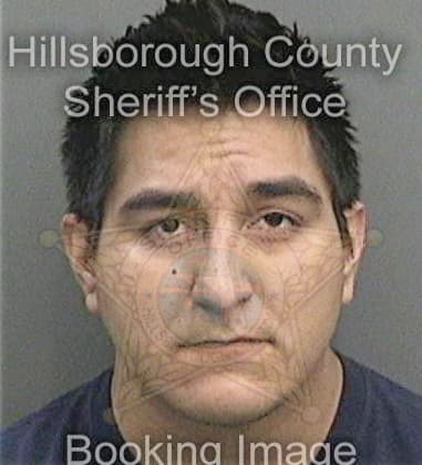 Michael Alberts, - Hillsborough County, FL 