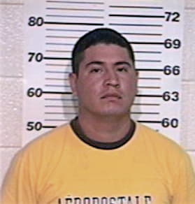 Julian Hernandez, - Hidalgo County, TX 