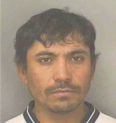 Manuel Hernandez, - Polk County, FL 