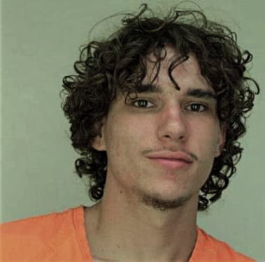 Michael McVittie - Hillsborough County, FL 