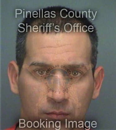 Johnny Sanchez, - Pinellas County, FL 