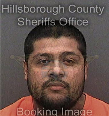 Daniel Velascosanchez, - Hillsborough County, FL 