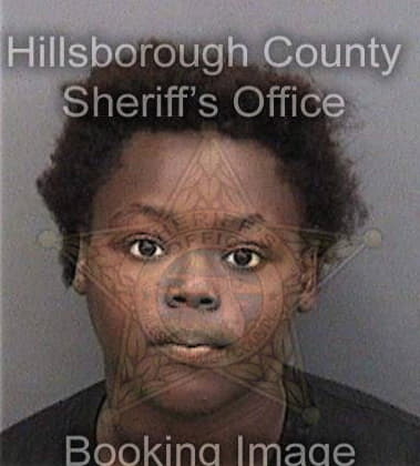 Aisha Warren, - Hillsborough County, FL 