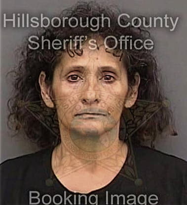 Samantha Fizer, - Hillsborough County, FL 