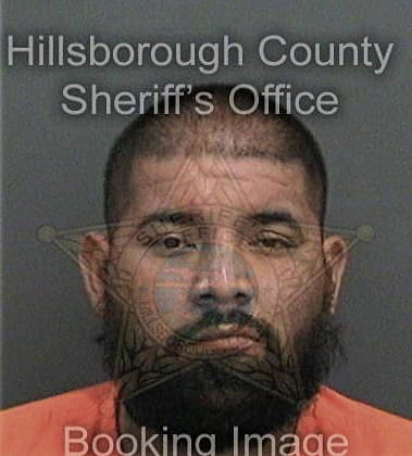 Vidal Gonzalez - Hillsborough County, FL 