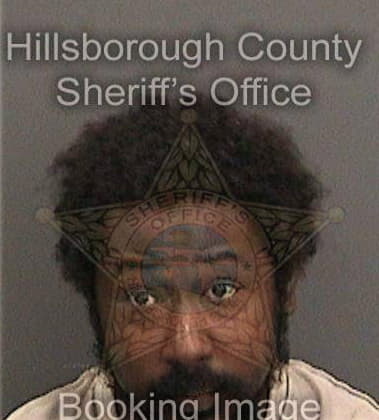 Akil Khalfani, - Hillsborough County, FL 