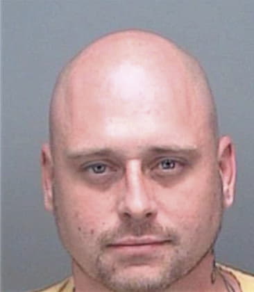 Anthony Magnelli, - Pinellas County, FL 