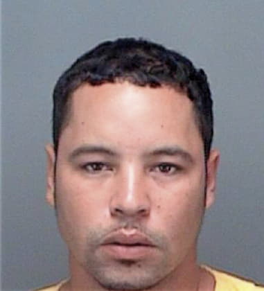 Richard McCants - Pinellas County, FL 