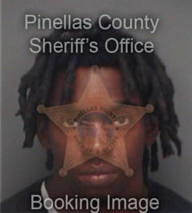 Ronald Payne, - Pinellas County, FL 