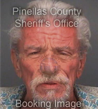 Daniel Przywalny, - Pinellas County, FL 