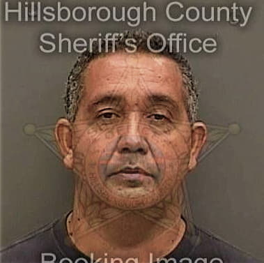 Michael Pullins, - Hillsborough County, FL 