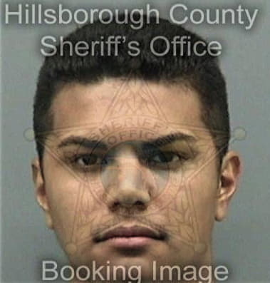 Andrew Griffis, - Hillsborough County, FL 