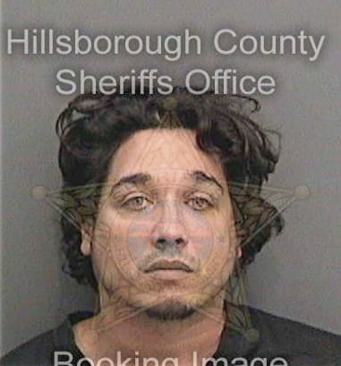 Michael Lawrence, - Hillsborough County, FL 