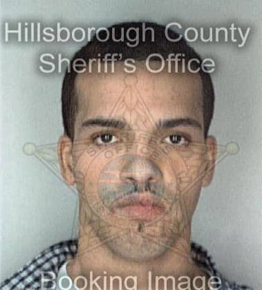 Michael McGovern - Hillsborough County, FL 