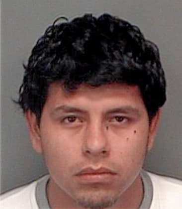 Samuel Pena, - Pinellas County, FL 