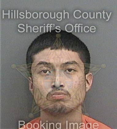 Donald Starzyk, - Hillsborough County, FL 