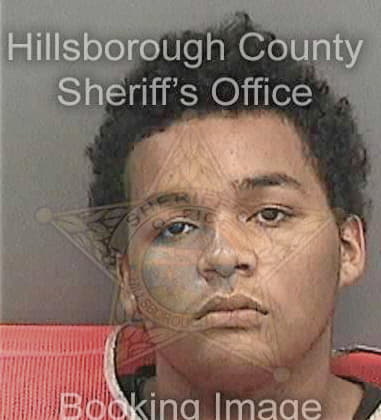 Ryan Watson, - Hillsborough County, FL 