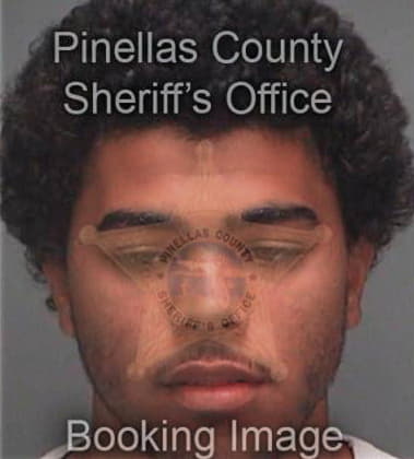 Joseph Brown, - Pinellas County, FL 