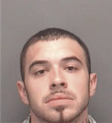 Louis Cotto, - Pinellas County, FL 