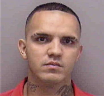 Jose Flores-Martinez, - Lee County, FL 