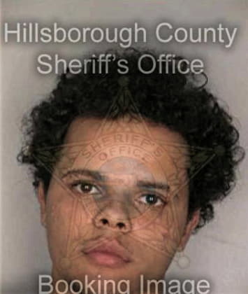 Christopher McLendon - Hillsborough County, FL 