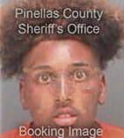 Rafael Rivera, - Pinellas County, FL 