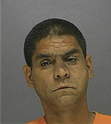 Manuel Santana, - Volusia County, FL 