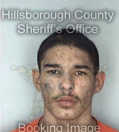 Edwin Severino, - Hillsborough County, FL 