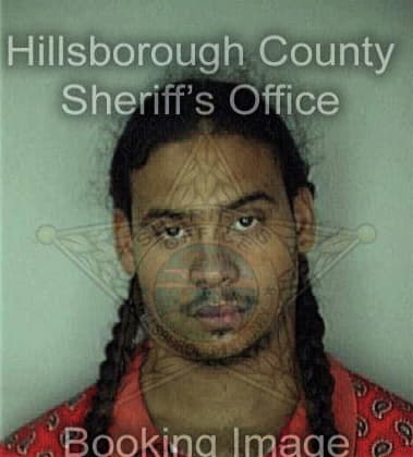 Michael Widman - Hillsborough County, FL 