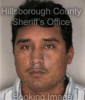 Robert Willey - Hillsborough County, FL 