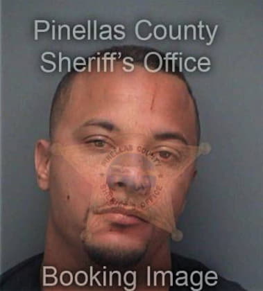 Ronald Williams, - Pinellas County, FL 