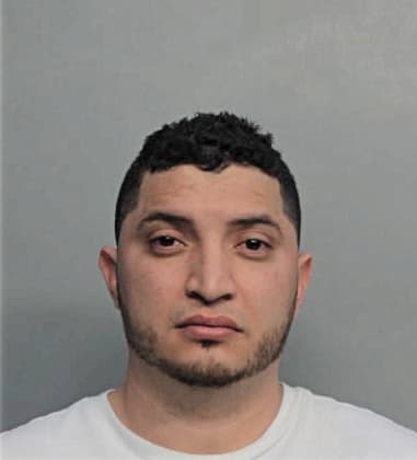 Yoandry Castillo, - Dade County, FL 