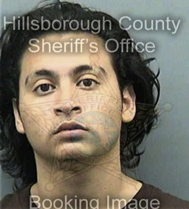 Daniel Ferrone, - Hillsborough County, FL 