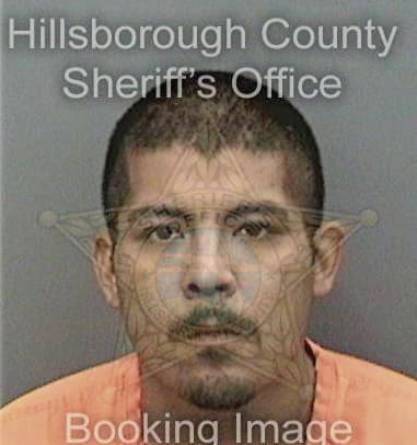 Patrick Guilfoil, - Hillsborough County, FL 