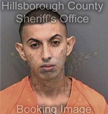 Roberto Hechavarria, - Hillsborough County, FL 