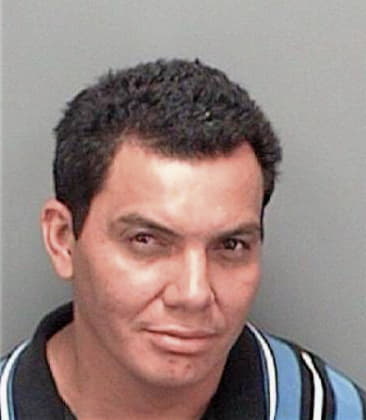 Ivan Maldonado, - Pinellas County, FL 