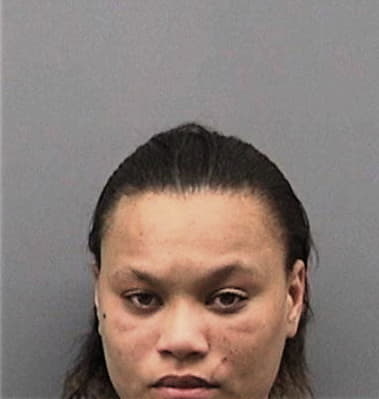 Carline Noel, - Hillsborough County, FL 