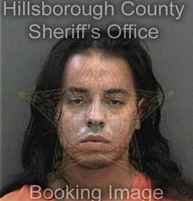 Mark Taggart - Hillsborough County, FL 