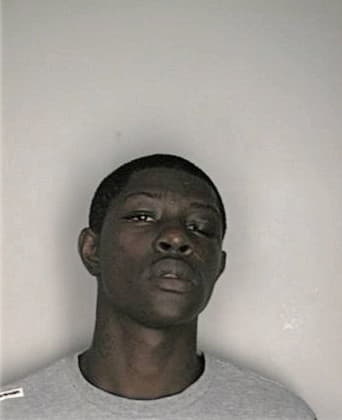 Yves Terrible, - Hillsborough County, FL 